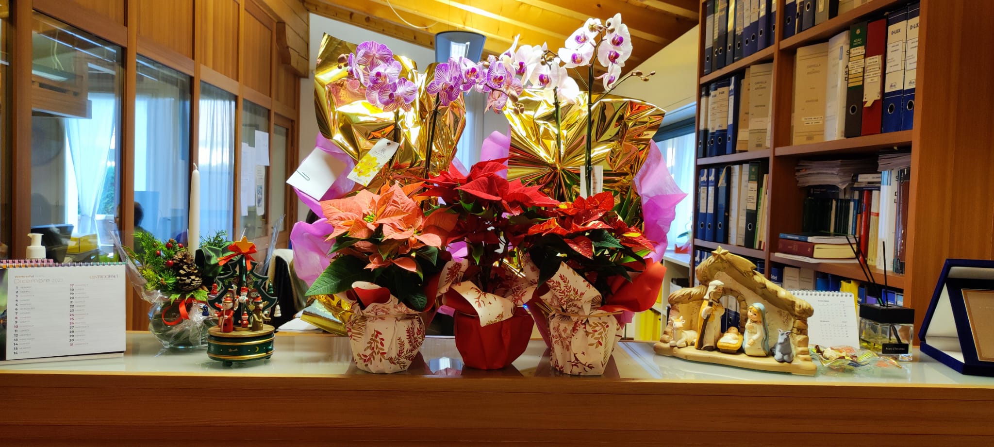 Auguri di buon Natale e di un sereno Anno 2024 da tutto lo Studio